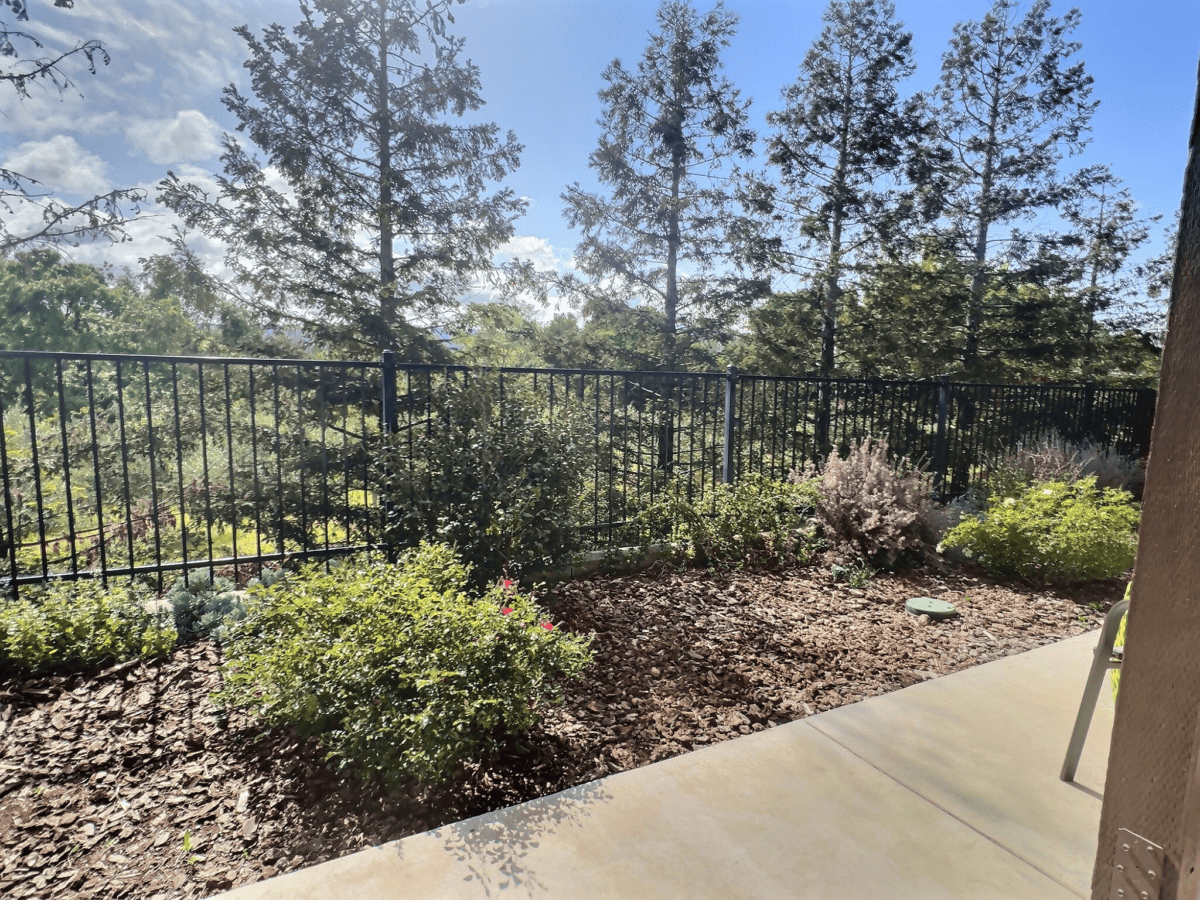 Central patio with views of trees and olive orchard.