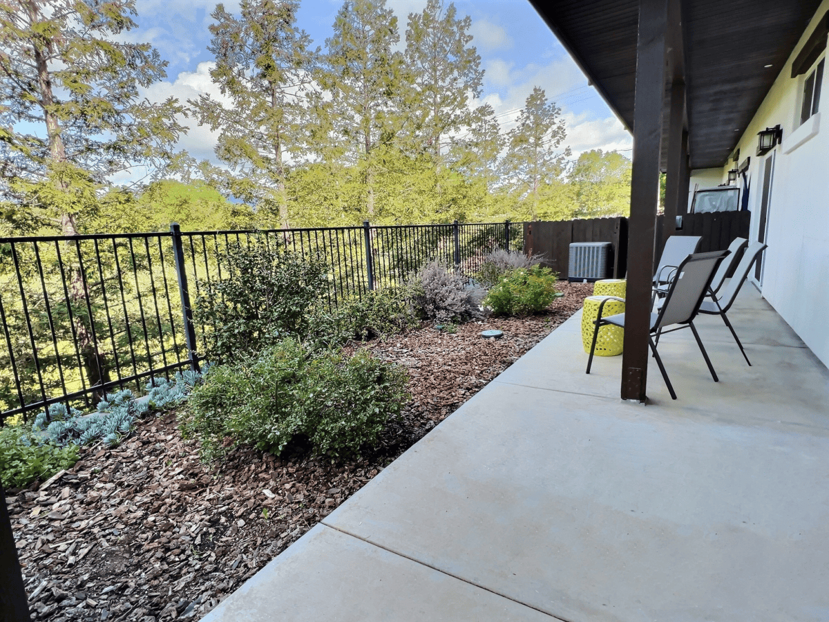 Patio view from kitchen with chairs, tables, and olive orchard.